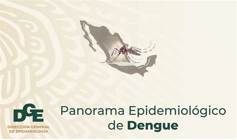 panorama dengue 2023